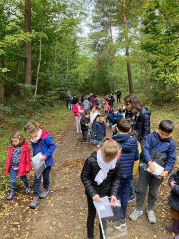 Balade en forêt : à la recherche des trésors de la nature